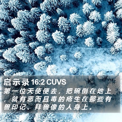 启 示 录 16:2 CUVS Bible Verse Image