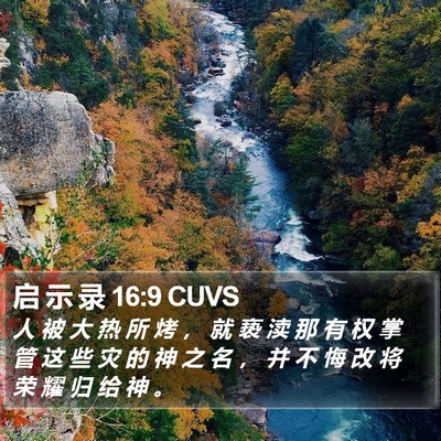 启 示 录 16:9 CUVS Bible Verse Image