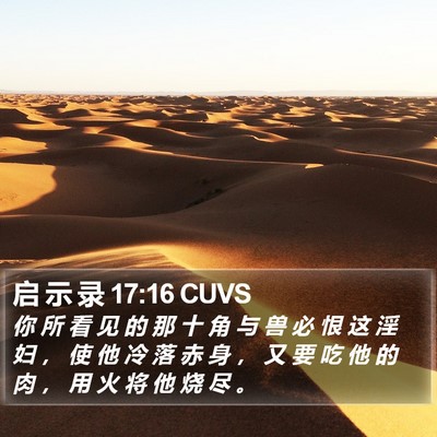 启 示 录 17:16 CUVS Bible Verse Image