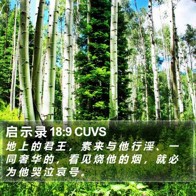 启 示 录 18:9 CUVS Bible Verse Image