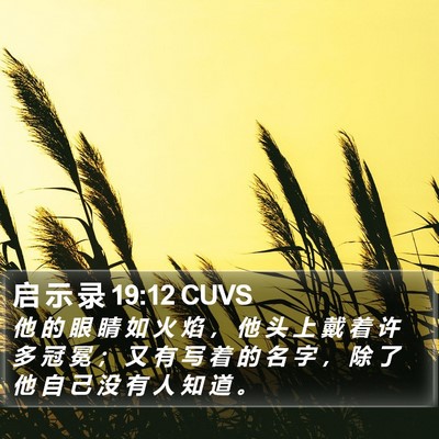 启 示 录 19:12 CUVS Bible Verse Image