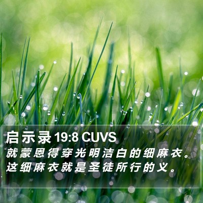 启 示 录 19:8 CUVS Bible Verse Image