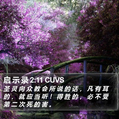 启 示 录 2:11 CUVS Bible Verse Image