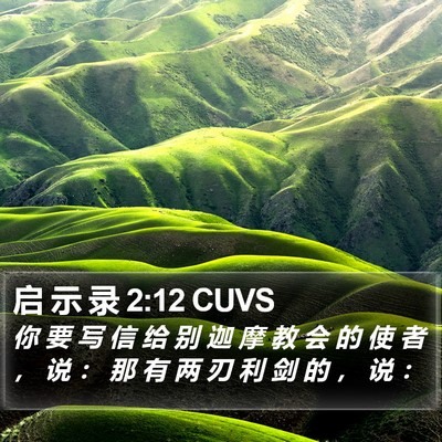 启 示 录 2:12 CUVS Bible Verse Image