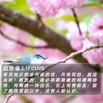 启 示 录 2:17 CUVS Bible Verse Image