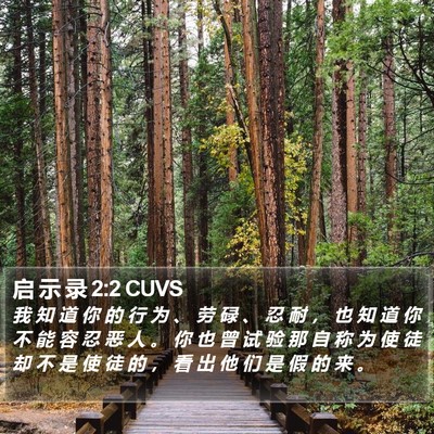 启 示 录 2:2 CUVS Bible Verse Image