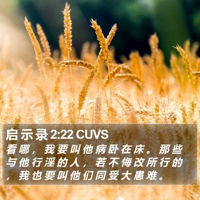 启 示 录 2:22 CUVS Bible Verse Image