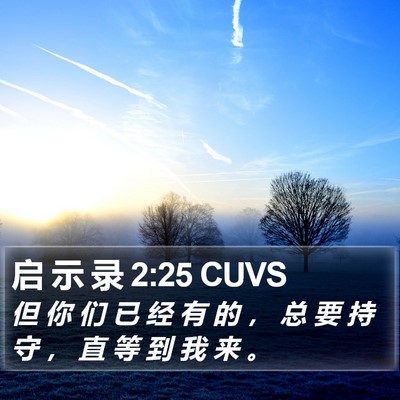 启 示 录 2:25 CUVS Bible Verse Image
