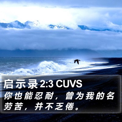 启 示 录 2:3 CUVS Bible Verse Image