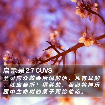 启 示 录 2:7 CUVS Bible Verse Image