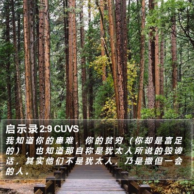 启 示 录 2:9 CUVS Bible Verse Image