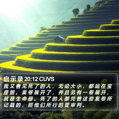 启 示 录 20:12 CUVS Bible Verse Image