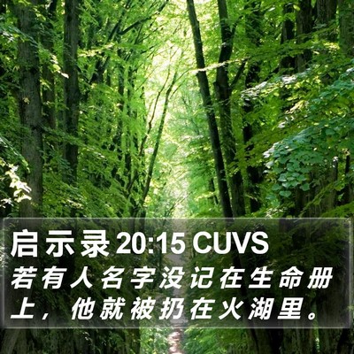 启 示 录 20:15 CUVS Bible Verse Image