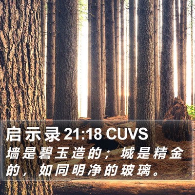 启 示 录 21:18 CUVS Bible Verse Image