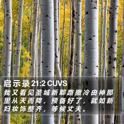 启 示 录 21:2 CUVS Bible Verse Image