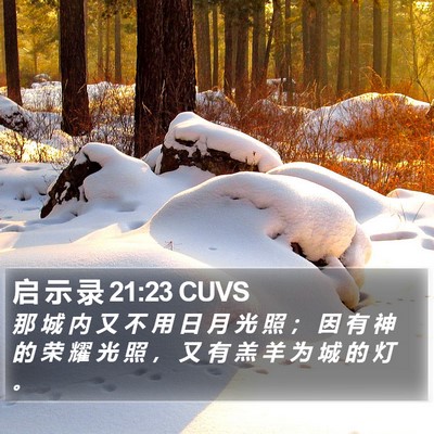 启 示 录 21:23 CUVS Bible Verse Image