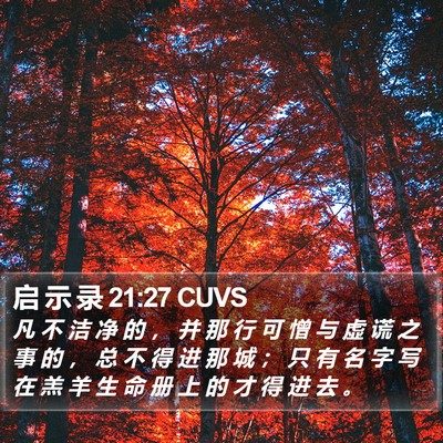 启 示 录 21:27 CUVS Bible Verse Image