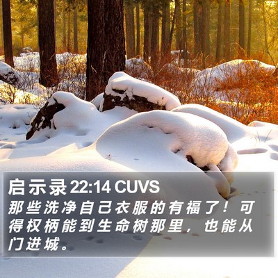 启 示 录 22:14 CUVS Bible Verse Image