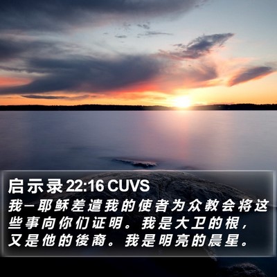 启 示 录 22:16 CUVS Bible Verse Image