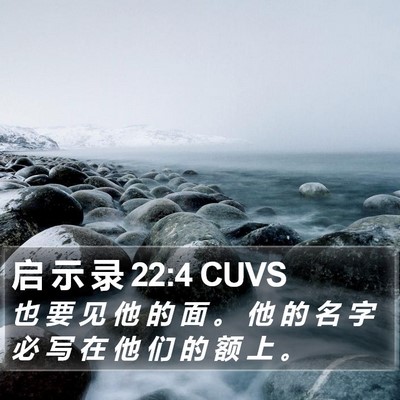 启 示 录 22:4 CUVS Bible Verse Image