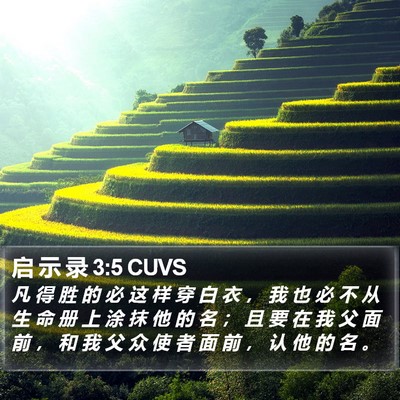 启 示 录 3:5 CUVS Bible Verse Image