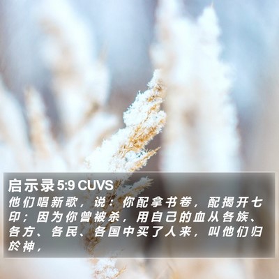 启 示 录 5:9 CUVS Bible Verse Image