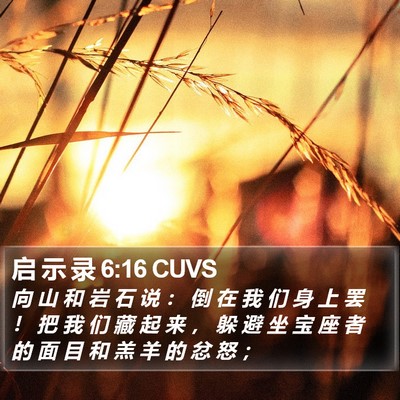启 示 录 6:16 CUVS Bible Verse Image