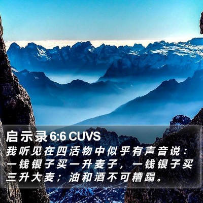 启 示 录 6:6 CUVS Bible Verse Image