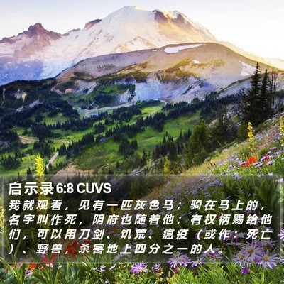 启 示 录 6:8 CUVS Bible Verse Image