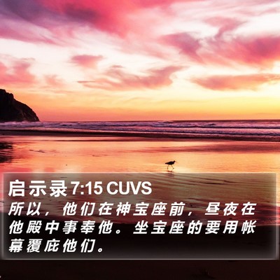 启 示 录 7:15 CUVS Bible Verse Image