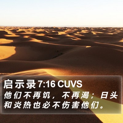 启 示 录 7:16 CUVS Bible Verse Image