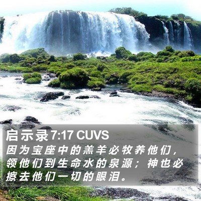 启 示 录 7:17 CUVS Bible Verse Image