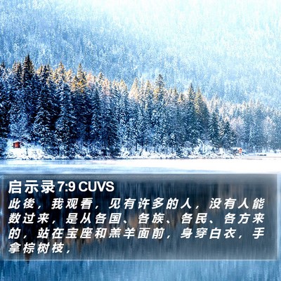 启 示 录 7:9 CUVS Bible Verse Image