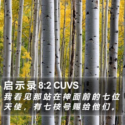 启 示 录 8:2 CUVS Bible Verse Image