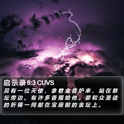 启 示 录 8:3 CUVS Bible Verse Image