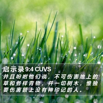 启 示 录 9:4 CUVS Bible Verse Image