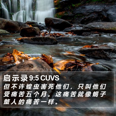 启 示 录 9:5 CUVS Bible Verse Image