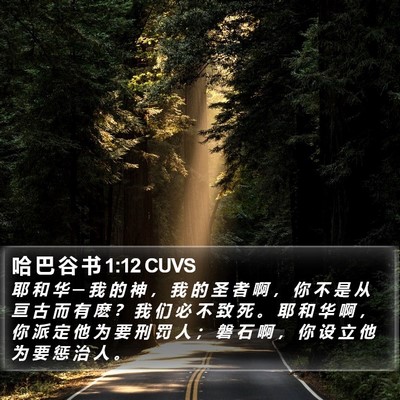 哈 巴 谷 书 1:12 CUVS Bible Verse Image