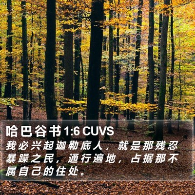 哈 巴 谷 书 1:6 CUVS Bible Verse Image