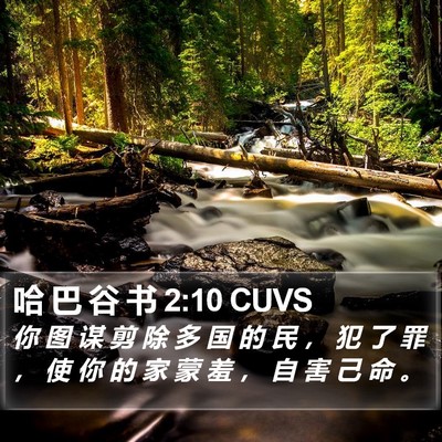 哈 巴 谷 书 2:10 CUVS Bible Verse Image