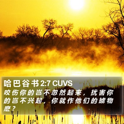 哈 巴 谷 书 2:7 CUVS Bible Verse Image