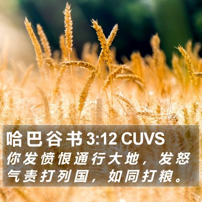 哈 巴 谷 书 3:12 CUVS Bible Verse Image