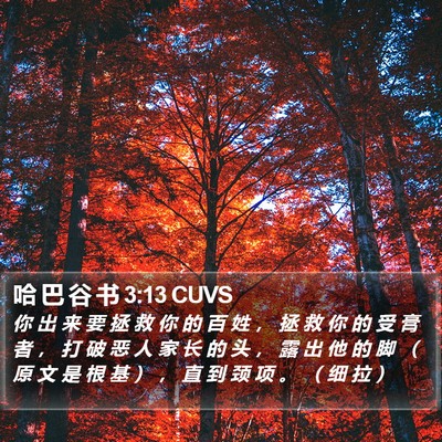 哈 巴 谷 书 3:13 CUVS Bible Verse Image