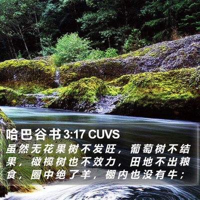 哈 巴 谷 书 3:17 CUVS Bible Verse Image