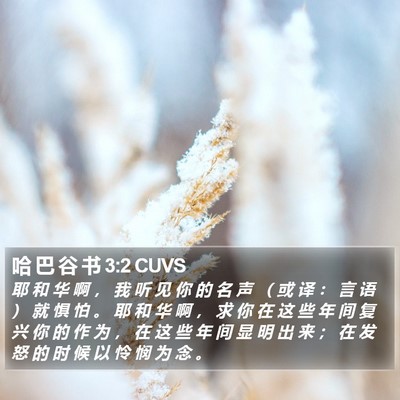 哈 巴 谷 书 3:2 CUVS Bible Verse Image