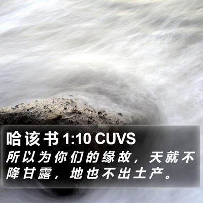 哈 该 书 1:10 CUVS Bible Verse Image