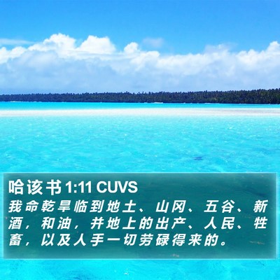 哈 该 书 1:11 CUVS Bible Verse Image