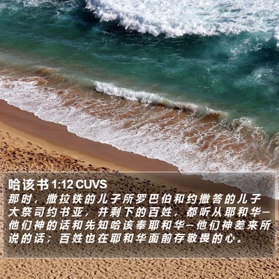 哈 该 书 1:12 CUVS Bible Verse Image