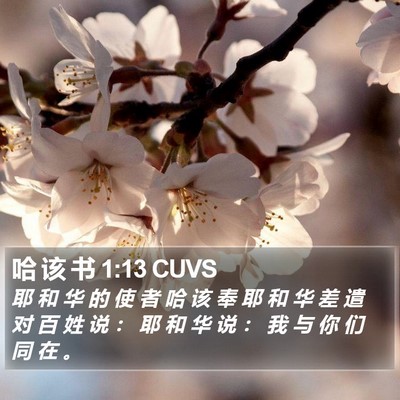 哈 该 书 1:13 CUVS Bible Verse Image