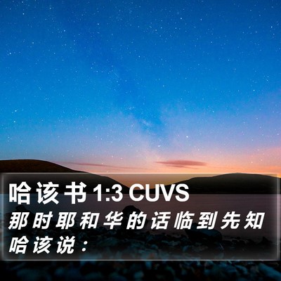 哈 该 书 1:3 CUVS Bible Verse Image